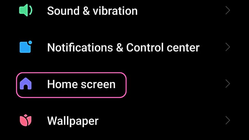 Find the Home Screen option once you're inside the Settings page