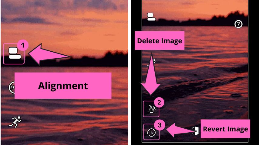 Other editing options for the GIF include Alignment, Delete, and Revert Image buttons
