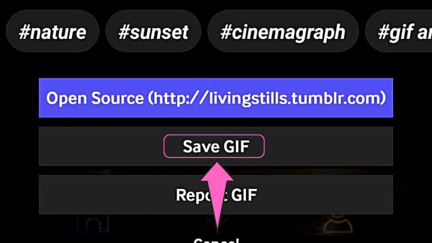 Tap the Save GIF button to download the GIF you selected to your phone